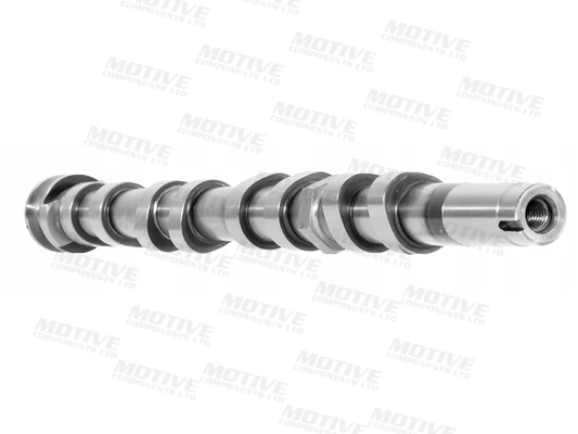 Motive Nokkenas T4440