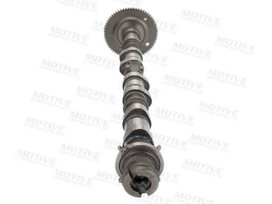 Motive Nokkenas T4458