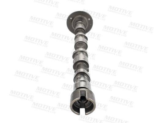Motive Nokkenas T4459