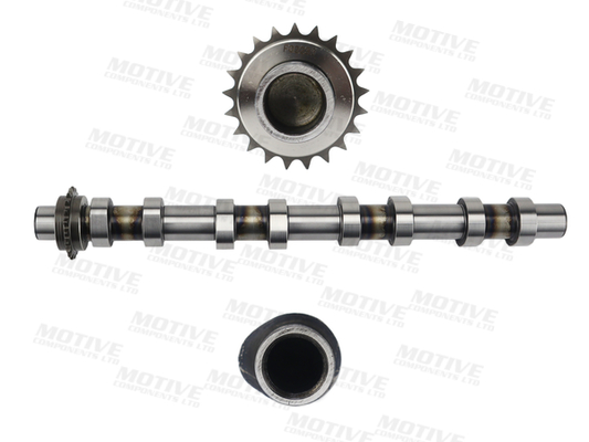 Motive Nokkenas T4461