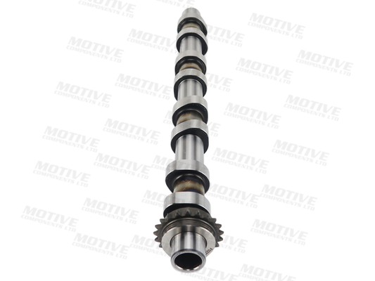 Motive Nokkenas T4461