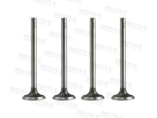 Uitlaatklep Motive EV7843