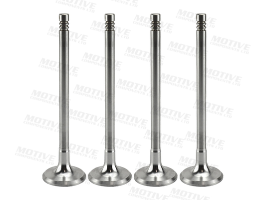 Uitlaatklep Motive EV9429