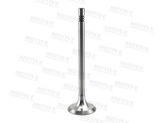 Uitlaatklep Motive EV9692