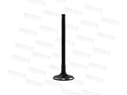 Inlaatklep Motive IV10073