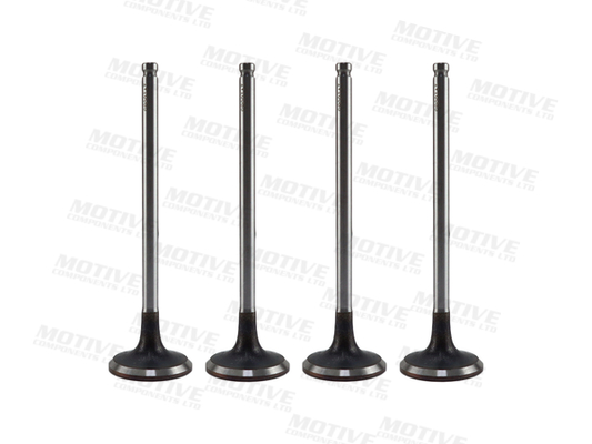 Inlaatklep Motive IV10085