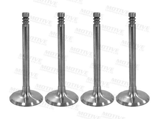 Inlaatklep Motive IV5401