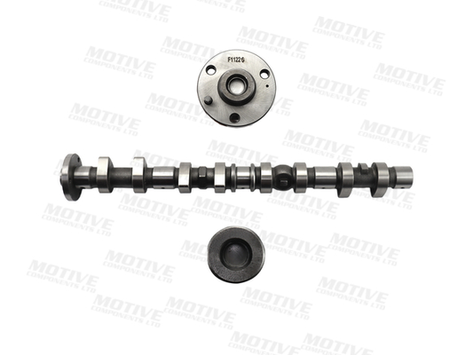 Nokkenas Motive T4405