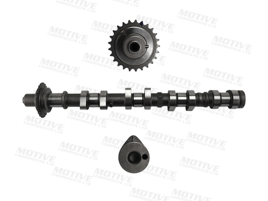 Nokkenas Motive T4516