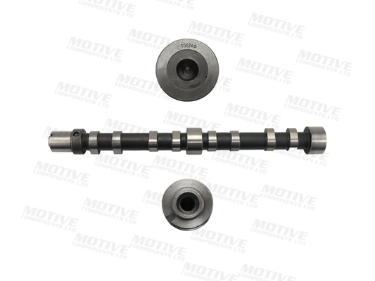 Nokkenas Motive T4519