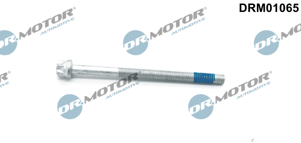 Schroef Dr.Motor Automotive DRM01065