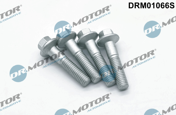 Schroef Dr.Motor Automotive DRM01066S