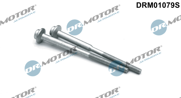 Schroef Dr.Motor Automotive DRM01079S