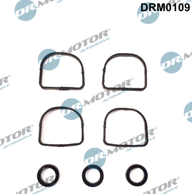 Inlaatspruitstukpakking Dr.Motor Automotive DRM0109