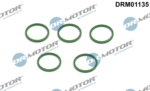 Laadlucht-/turboslang Dr.Motor Automotive DRM01135