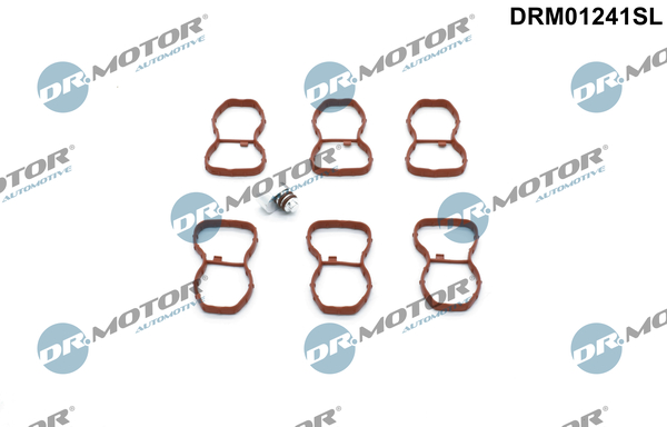 Inlaatspruitstuk module Dr.Motor Automotive DRM01241SL