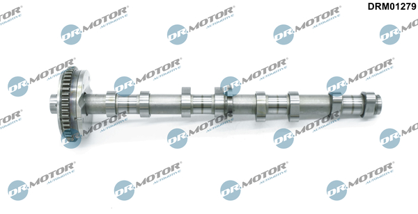 Nokkenas Dr.Motor Automotive DRM01279