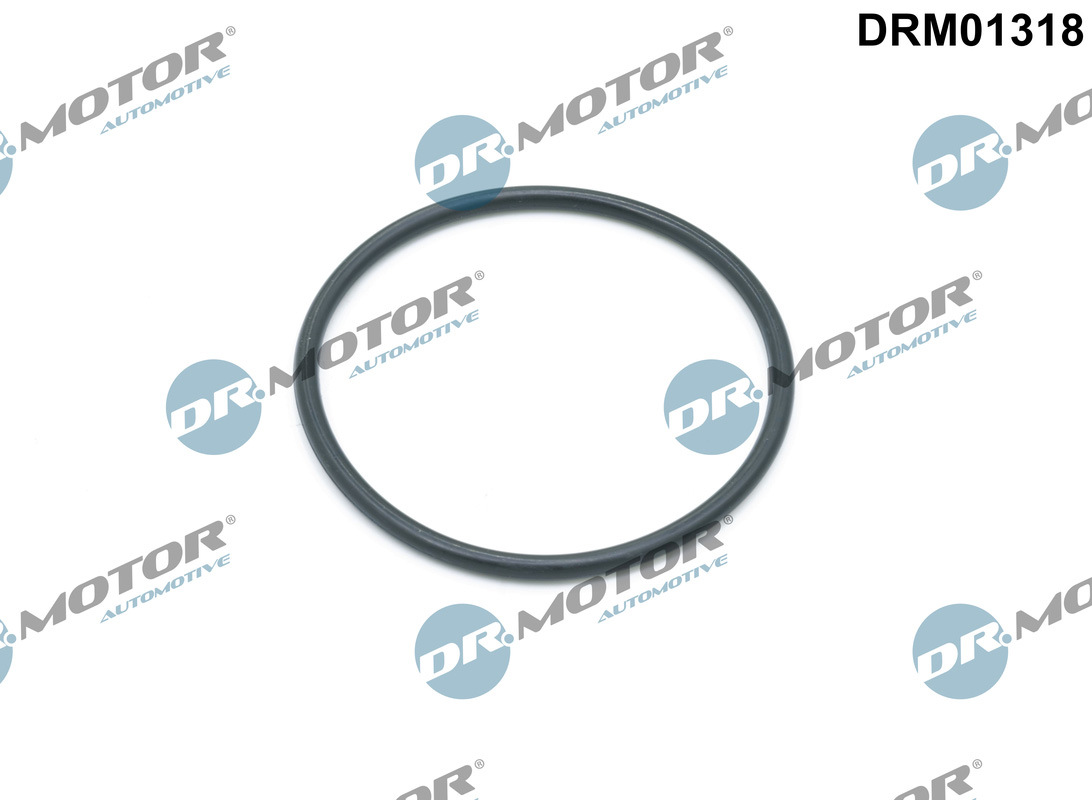 Oliefilterhuis pakking / O-ring Dr.Motor Automotive DRM01318