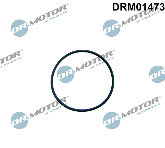 Brandstofpomp pakking Dr.Motor Automotive DRM01473