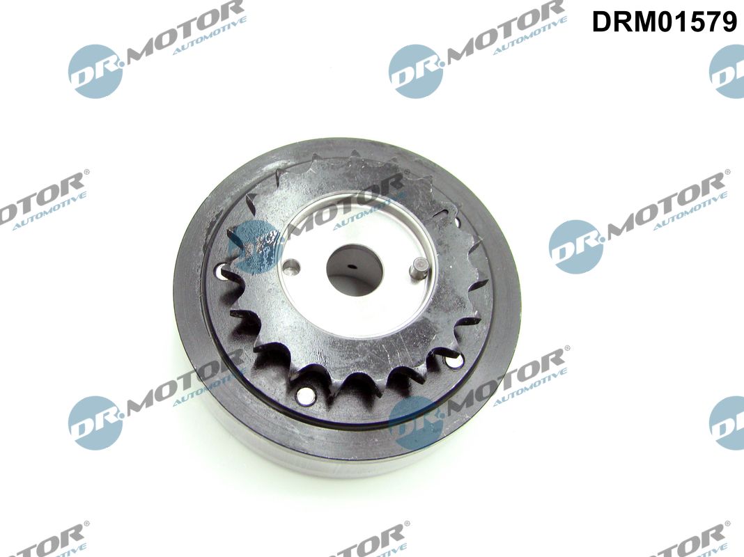 Nokkenasregelaar-/versteller Dr.Motor Automotive DRM01579