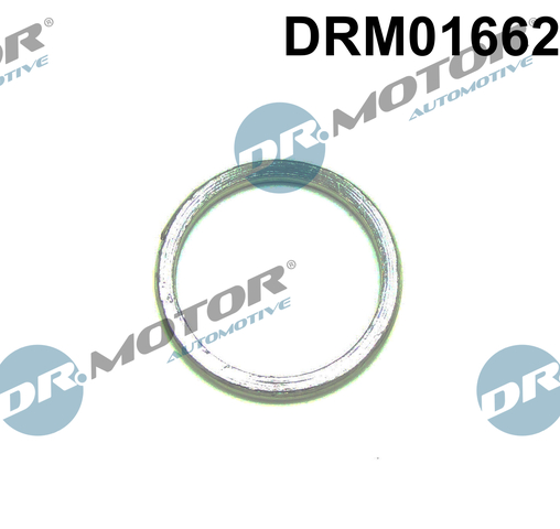 Turbolader pakking Dr.Motor Automotive DRM01662