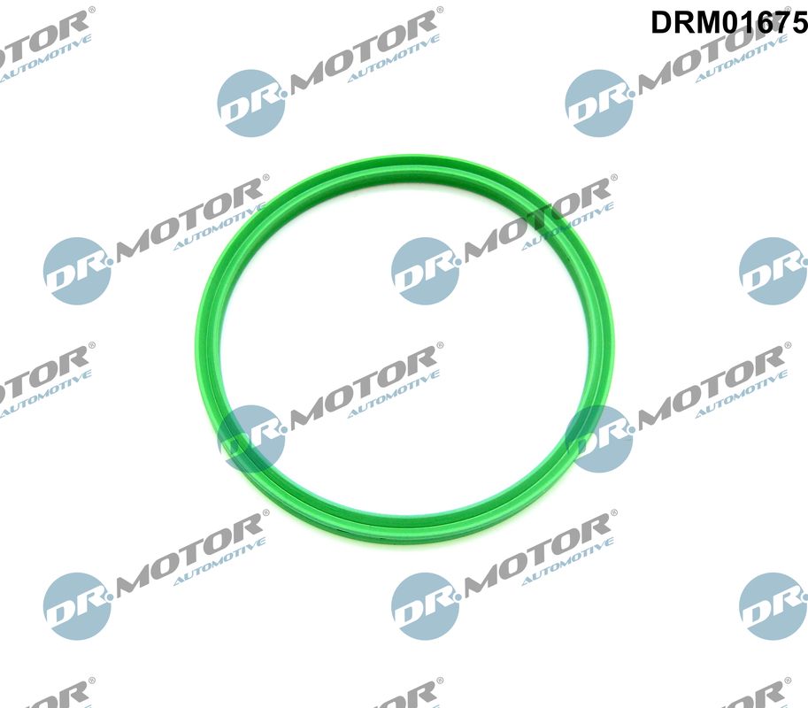 Laadlucht-/turboslang Dr.Motor Automotive DRM01675