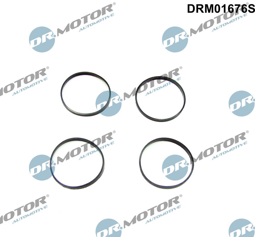 Inlaatspruitstukpakking Dr.Motor Automotive DRM01676S