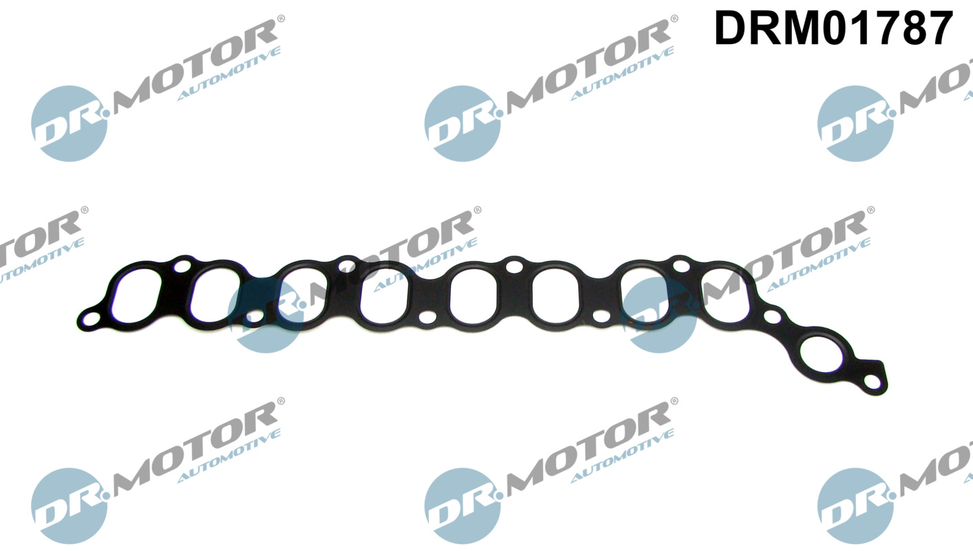 Inlaatspruitstukpakking Dr.Motor Automotive DRM01787