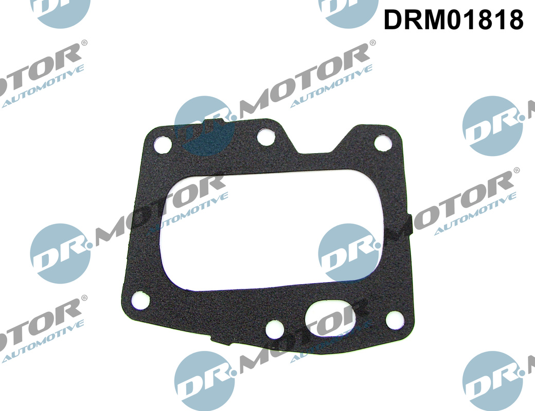 EGR-klep pakking Dr.Motor Automotive DRM01818