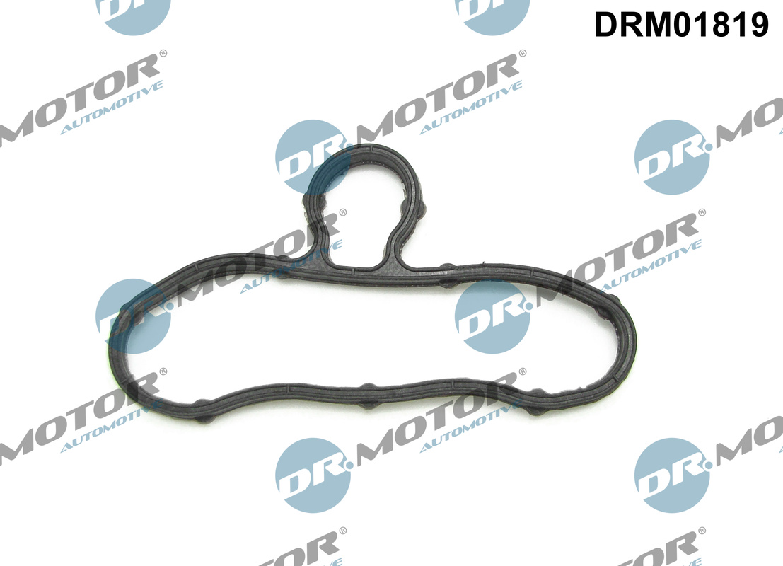 Distributiecarter pakking Dr.Motor Automotive DRM01819