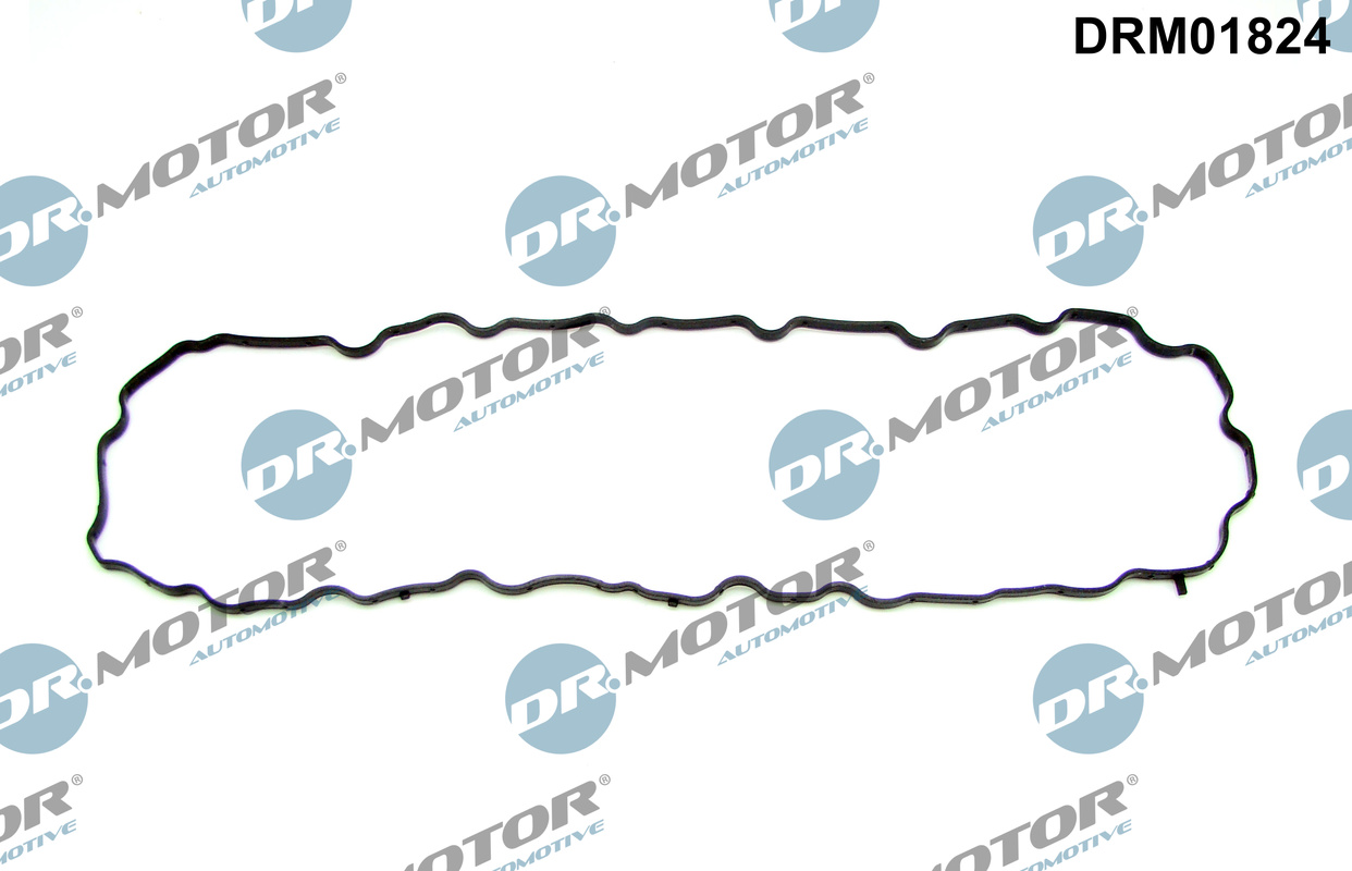 Carter pakking Dr.Motor Automotive DRM01824