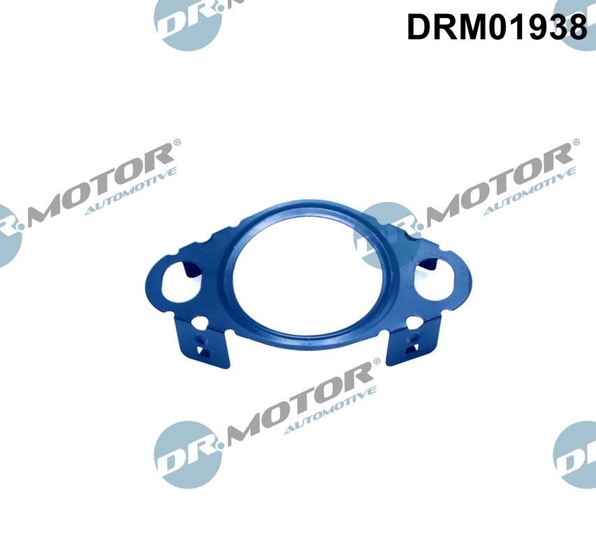 Dichtring EGR-klep leiding Dr.Motor Automotive DRM01938