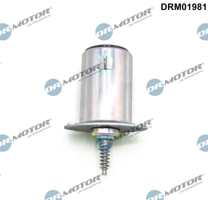 Nokkenasregelklep Dr.Motor Automotive DRM01981