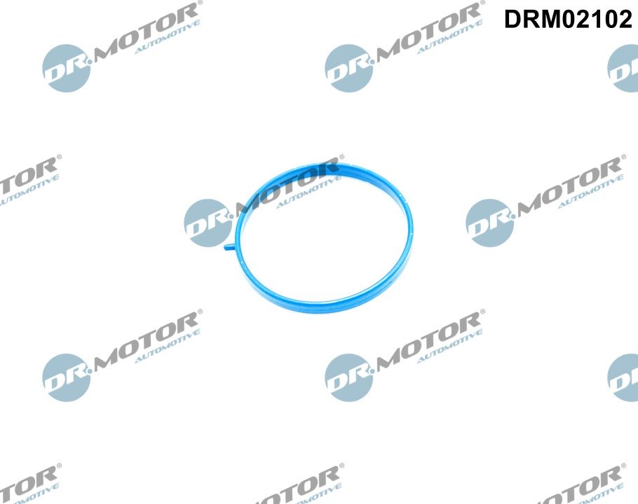 Inlaatspruitstukpakking Dr.Motor Automotive DRM02102