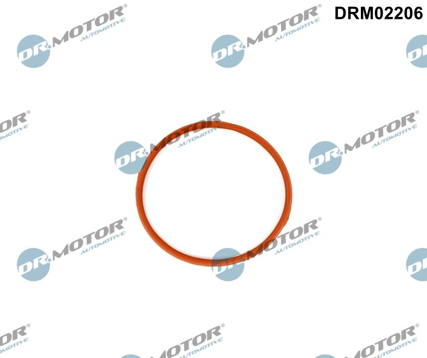 Pakking Dr.Motor Automotive DRM02206