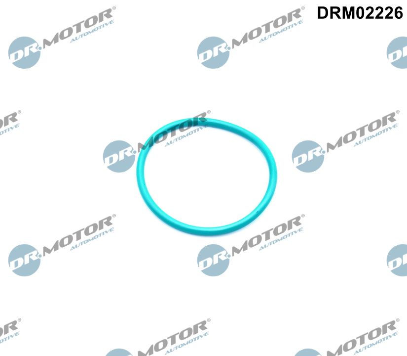 EGR-klep pakking Dr.Motor Automotive DRM02226