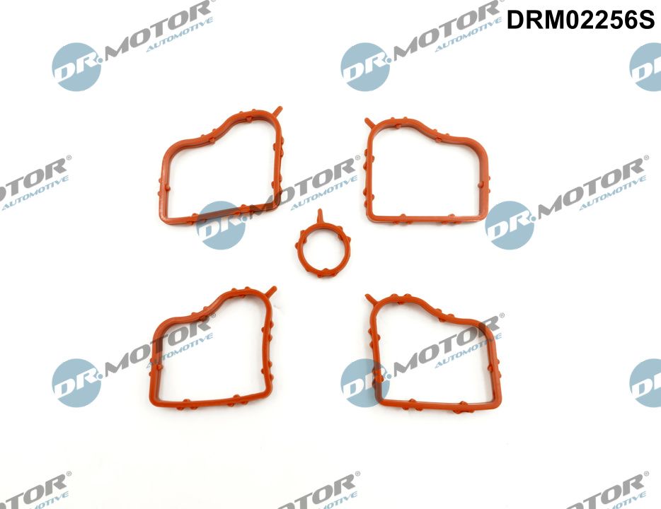 Kleppendekselpakking Dr.Motor Automotive DRM02256S