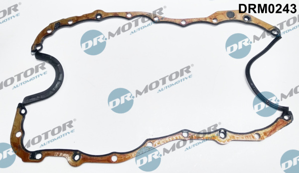 Carter pakking Dr.Motor Automotive DRM0243