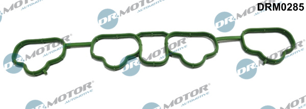 Inlaatspruitstukpakking Dr.Motor Automotive DRM0285