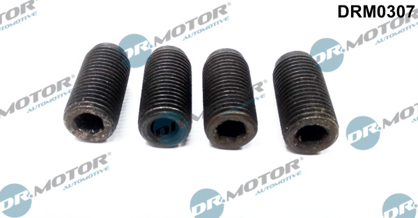 Inspuitpomp pakking Dr.Motor Automotive DRM0307