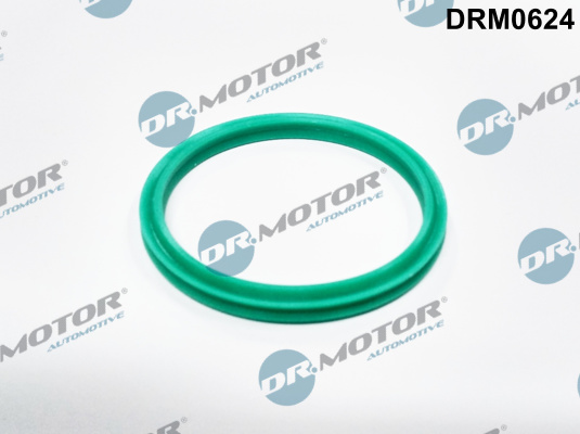 Laadlucht-/turboslang Dr.Motor Automotive DRM0624