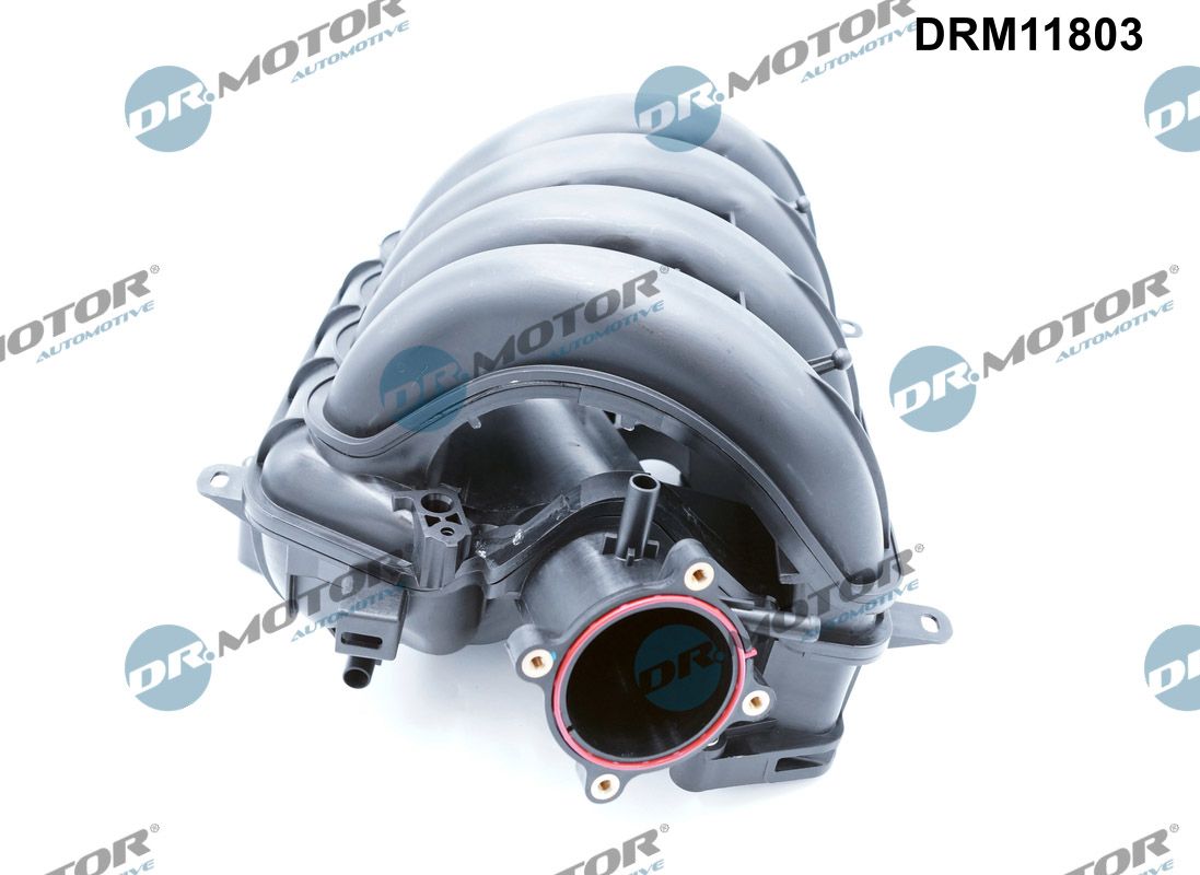 Dr.Motor Automotive Inlaatspruitstuk module DRM11803