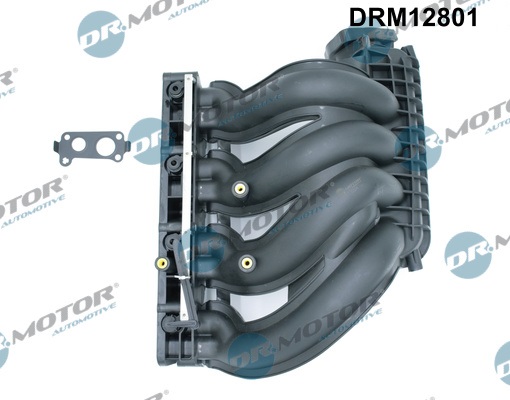 Inlaatspruitstuk module Dr.Motor Automotive DRM12801