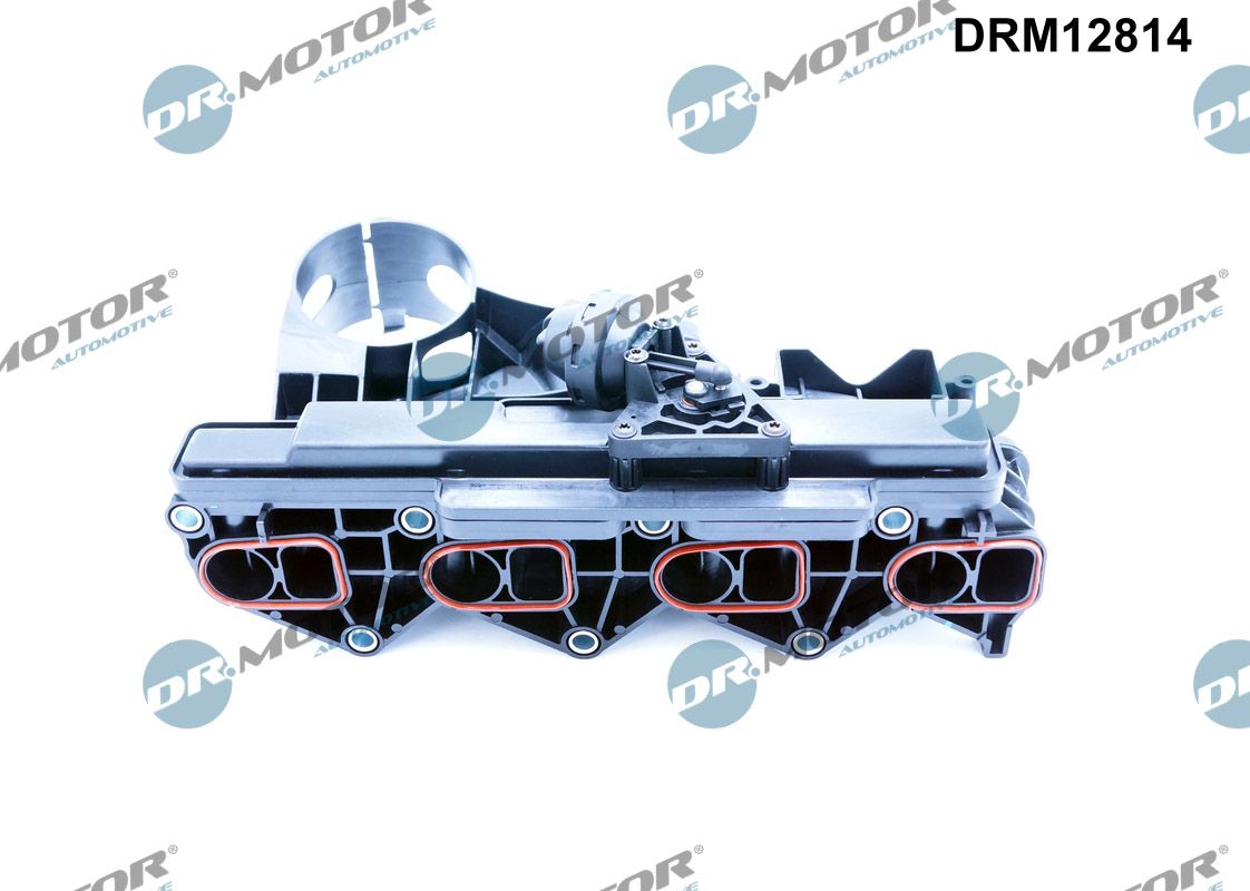 Dr.Motor Automotive Inlaatspruitstuk module DRM12814
