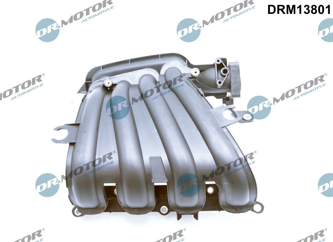 Inlaatspruitstuk module Dr.Motor Automotive DRM13801