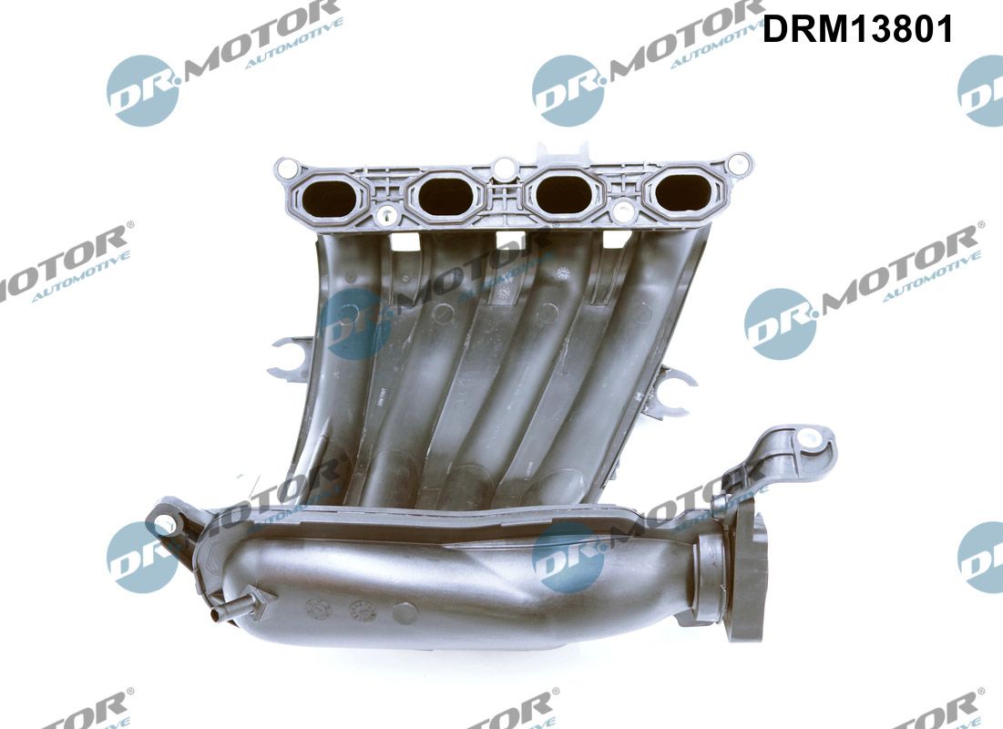 Dr.Motor Automotive Inlaatspruitstuk module DRM13801