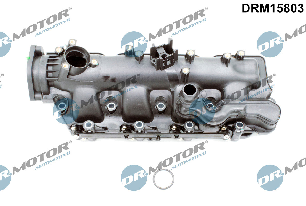 Inlaatspruitstuk module Dr.Motor Automotive DRM15803