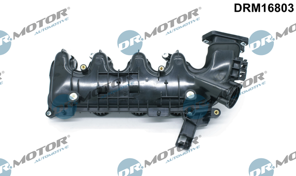 Inlaatspruitstuk module Dr.Motor Automotive DRM16803