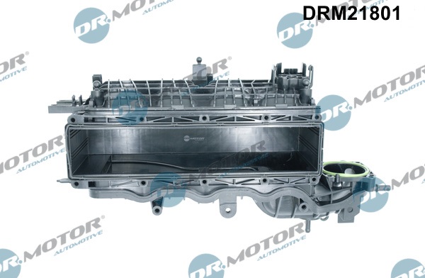 Inlaatspruitstuk module Dr.Motor Automotive DRM21801