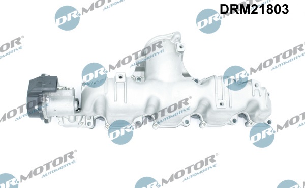 Inlaatspruitstuk module Dr.Motor Automotive DRM21803